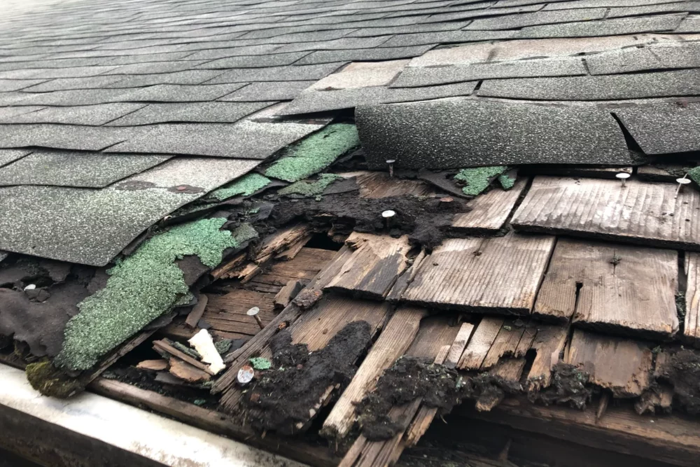 Roof Repair