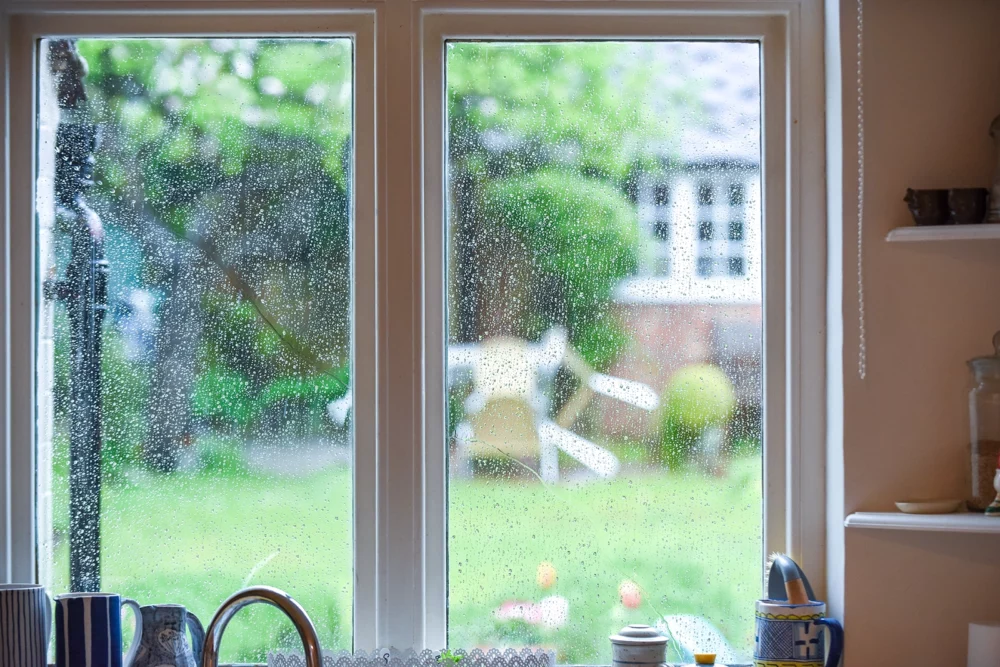Garden Windows